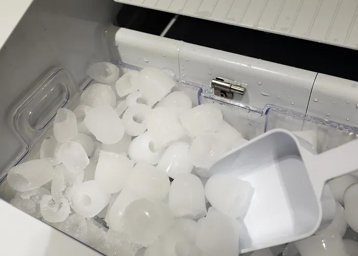부천 브라운도트 부천역점